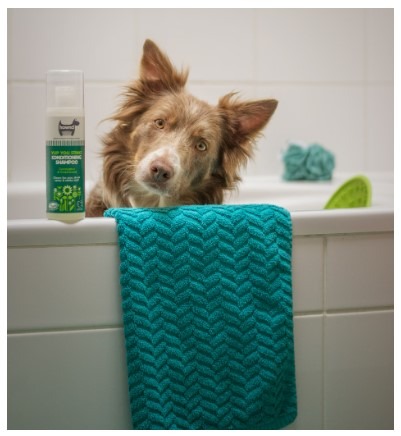 Apple Cider Relieve Itchiness