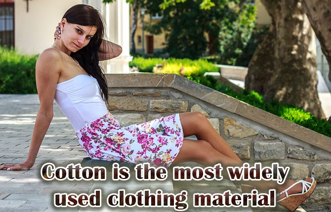 Cotton-is-the-most-widely-used-clothing-material