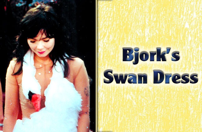 Bjorks-Swan-Dress