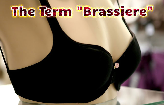 5-the-term-brassiere