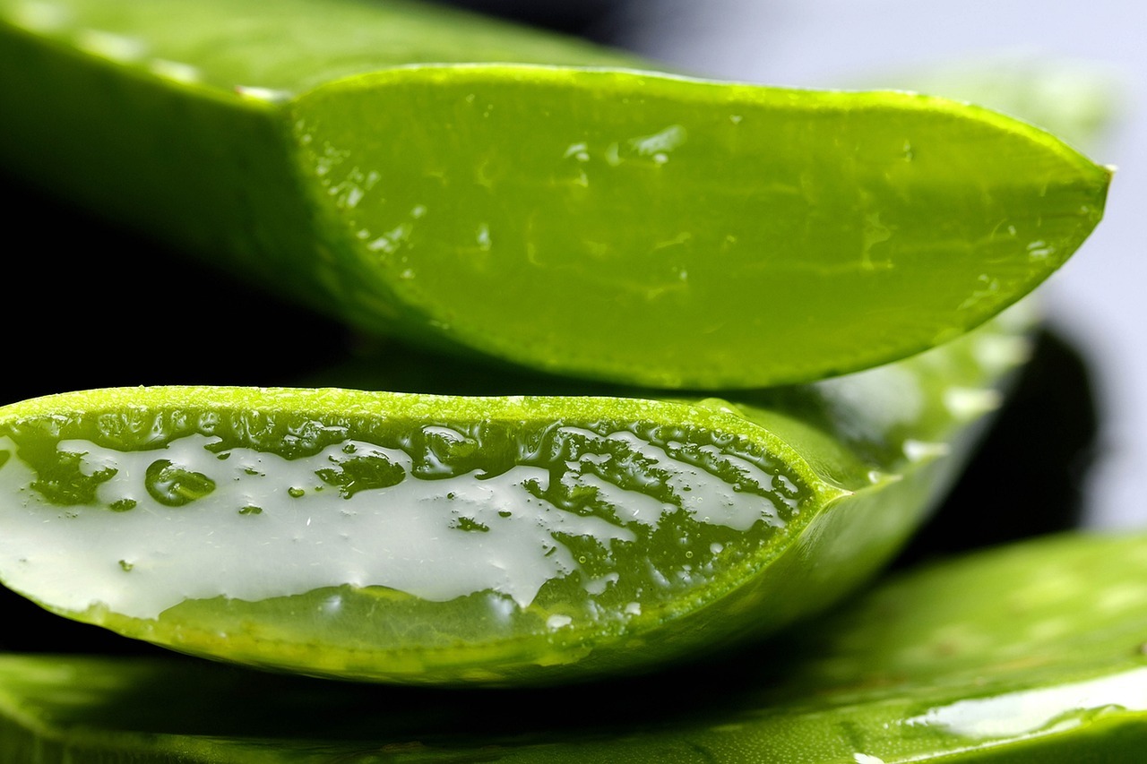 Aloe vera can be used as a moisturizer for your skin