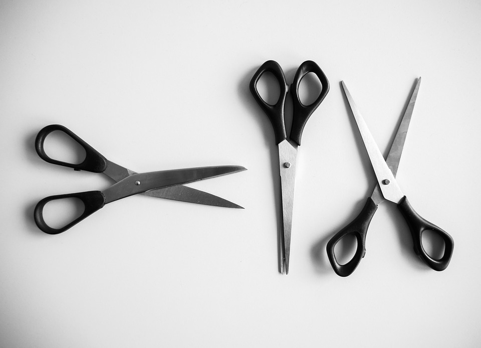 5 Types of Scissors You Never Thought You Needed