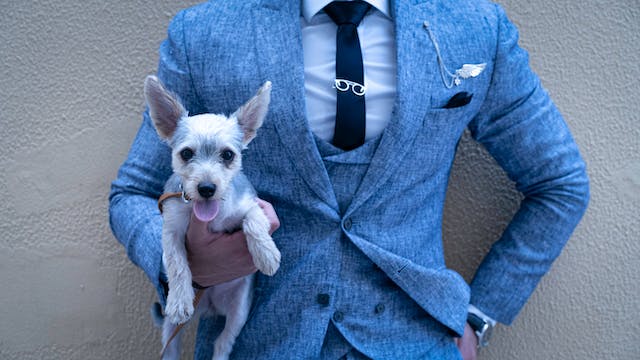 How to Match Your Outfit with Your Pup