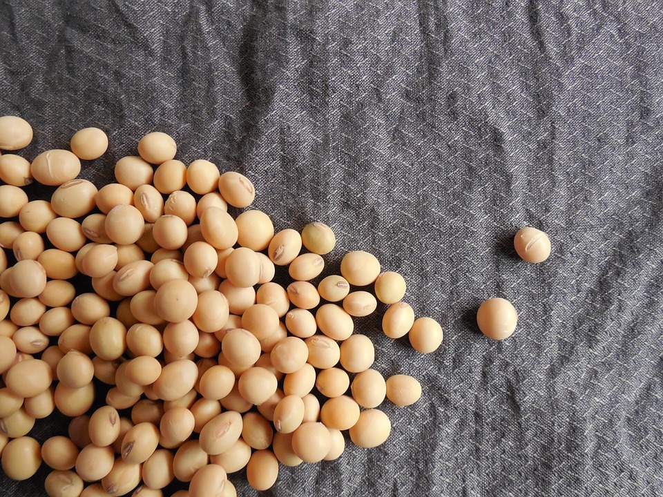 soybeans are also a good source of biotin