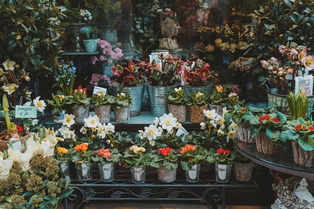 Factors To Consider When Buying Flowers