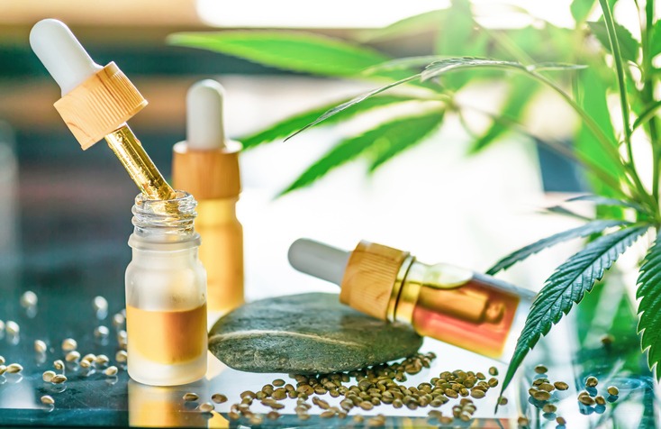 What Should Every Horse Owner Know Before Buying CBD Oil?