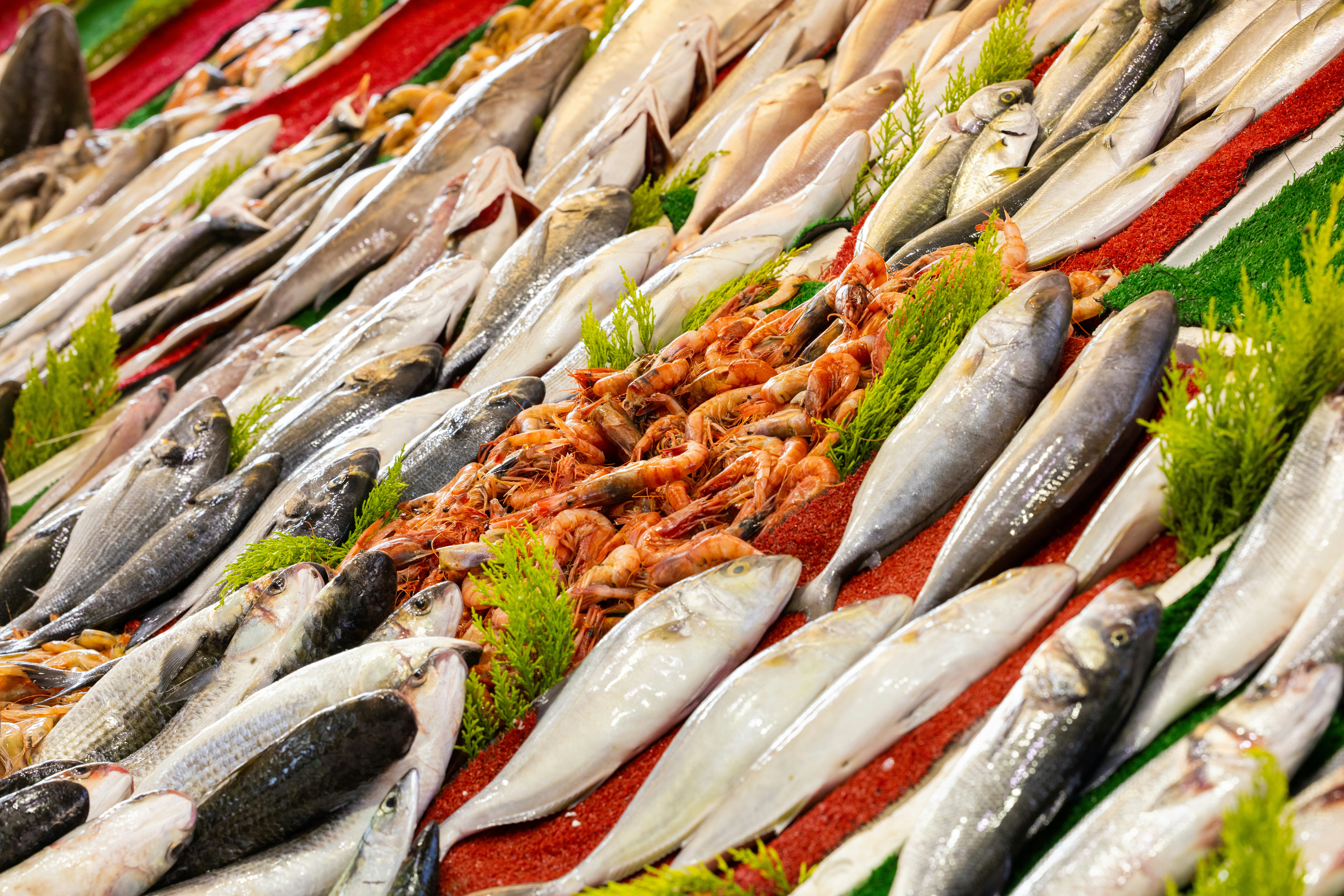 The Importance of Transparency in Wholesale Seafood Sourcing